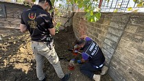 BAHÇEYE GÖMÜLÜ 10 MİLYON LİRALIK UYUŞTURUCU - haberi