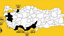 EN ÇOK AT-EŞEK-DOMUZ YEDİREN İLLER