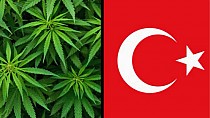 KENEVİRİN TIBBİ AMAÇLI KULLANIMINI KAPSAYAN YASA MECLİSTEN GEÇTİ