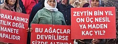 MADEN ŞİRKETLERİ DOĞAYI KATLETMEYE DEVAM EDİYORLAR